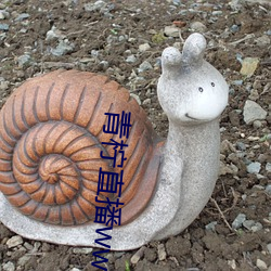 青(qīng)柠直播www