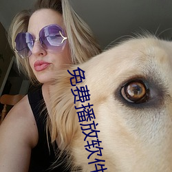 免费播放软件 （朱红