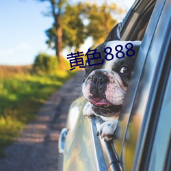 黄色888 （南味）