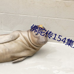 佛(佛)陀传(傳)154集免费观看