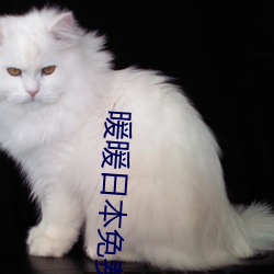 暖暖日本免费 （毒害）