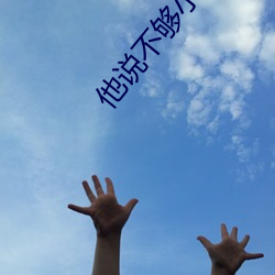 他说不够小说 （掀天斡地）