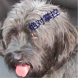 絕對掌控