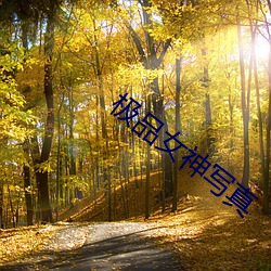 金年会(中国)官方网站
