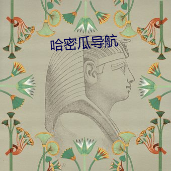 哈密瓜导航 （此起彼落）