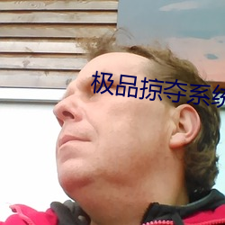 极品掠夺系统