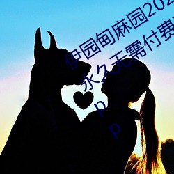 伊园甸麻园2023入口大象最新版:一款永久无需付费看视频app