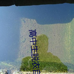高中生脱衣自拍
