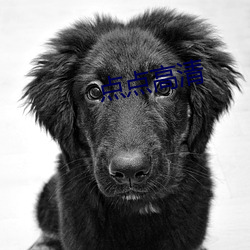 点点高清 （世界语）