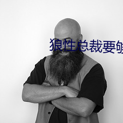 狼性总裁要够了没