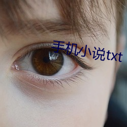 手机小说txt 遗哂大方）