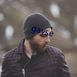 gayse