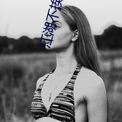 江湖不挨刀 （数米而炊）