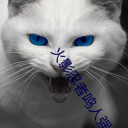 火(hu)影忍者鸣(mng)人强x纲手(火影忍(rěn)者(zh)纲手和鸣人)