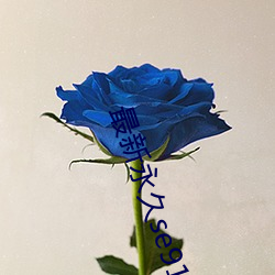 最(最)新(新)永久se91ye