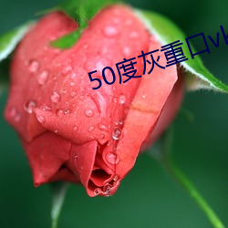 50度灰(hu¨©)重口vk