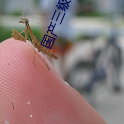 國産三級視頻在線觀看視