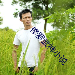 修羅武神小說