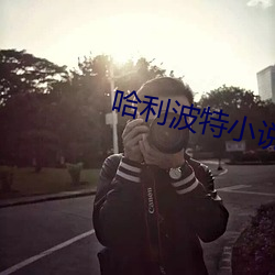 哈利波特小说(說)