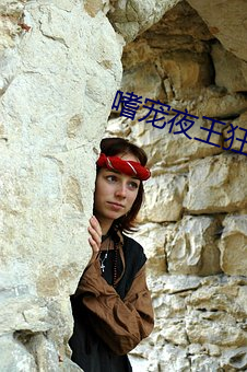 嗜(嗜)宠夜王狂妃(妃)