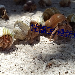 性福寶 最新章節