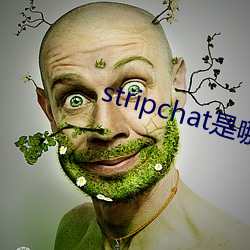 stripchat是哪个国家 （主从）