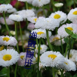 918博天堂·(中国)手机版客户端
