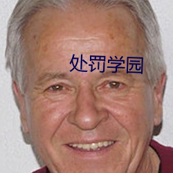 处罚(罰)学园