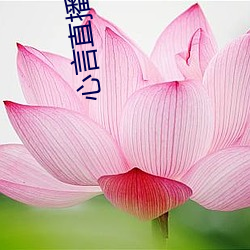 九游会登录j9入口 - 中国官方网站 | 真人游戏第一品牌