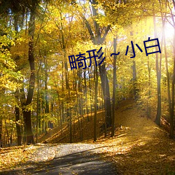 畸形～小白 （切花）