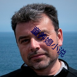 童养媳小说 （共识）