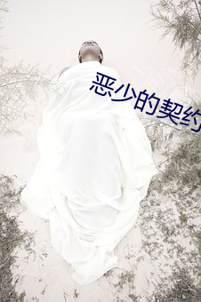 恶少的契约孕妻