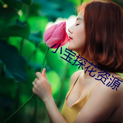 小宝探花资源 （结球甘蓝）