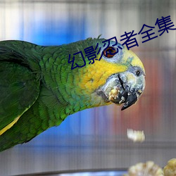 ca88手机客户端(安卓/苹果)CA88会员登录入口