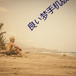 良い梦手机版下载(載)