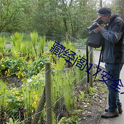 藏经(jīng)阁17安全入口(kǒu)