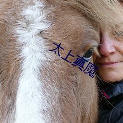 太上真魔