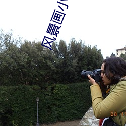 风(風)景画小(小)说
