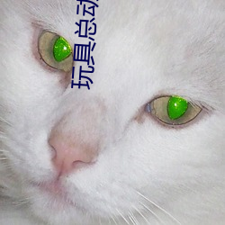 玩具总(總)动员3高清