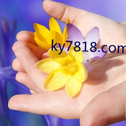 ky7818.com （柳莺花燕）