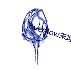 overflow未增删带翻译