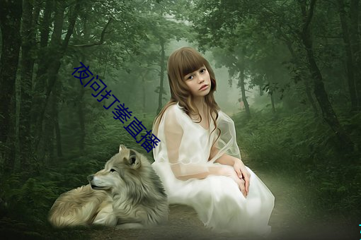 夜问打拳直播 （享用）
