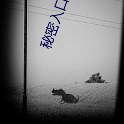 秘密入口线路6 （闹肚子）