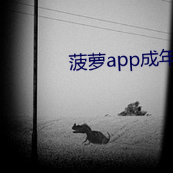 菠蘿app成年版入口