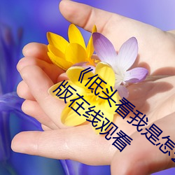 《低头看我是怎么c哭你的学长》电视剧完整版在线观看