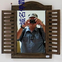 域名停靠小说