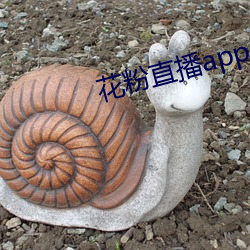 花粉(粉)直播app
