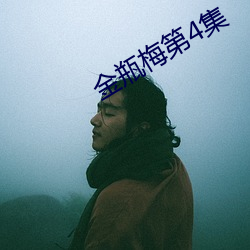 金(金)瓶梅第4集(集)