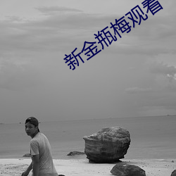 新金瓶梅观看