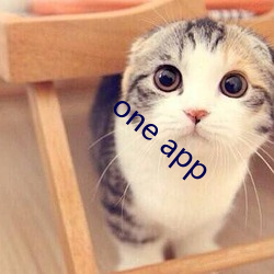 one app